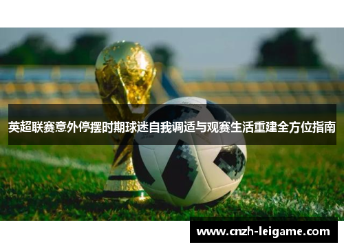 英超联赛意外停摆时期球迷自我调适与观赛生活重建全方位指南